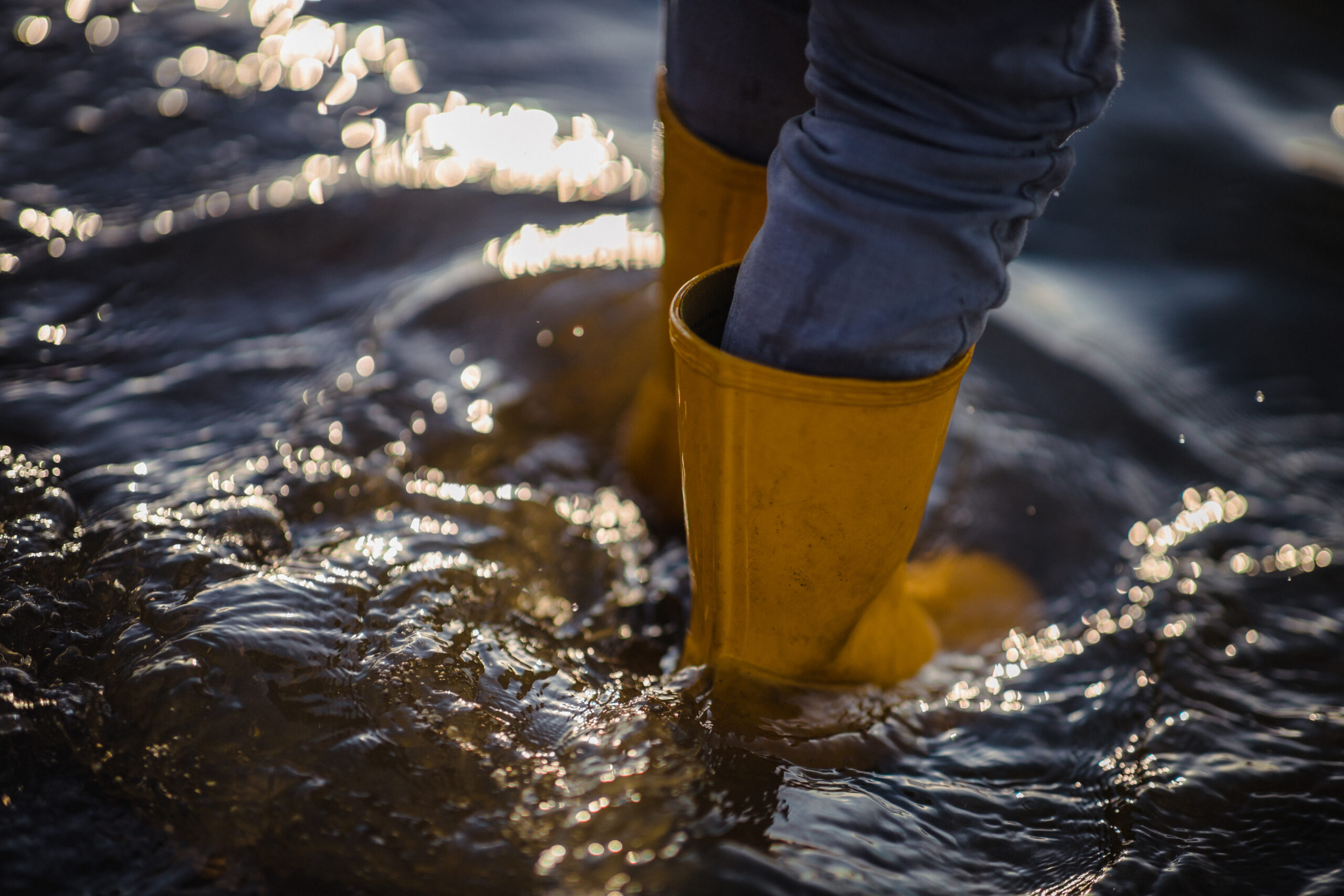 Pompage après inondation